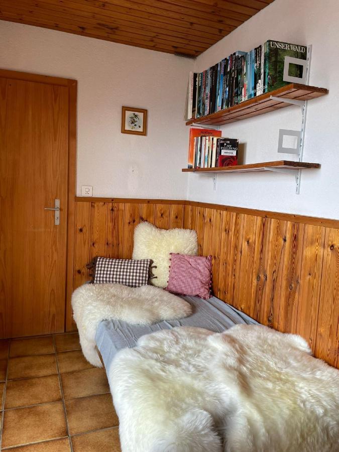 Gemuetliche Wohnung Mit Traumaussicht! Albinen Ngoại thất bức ảnh